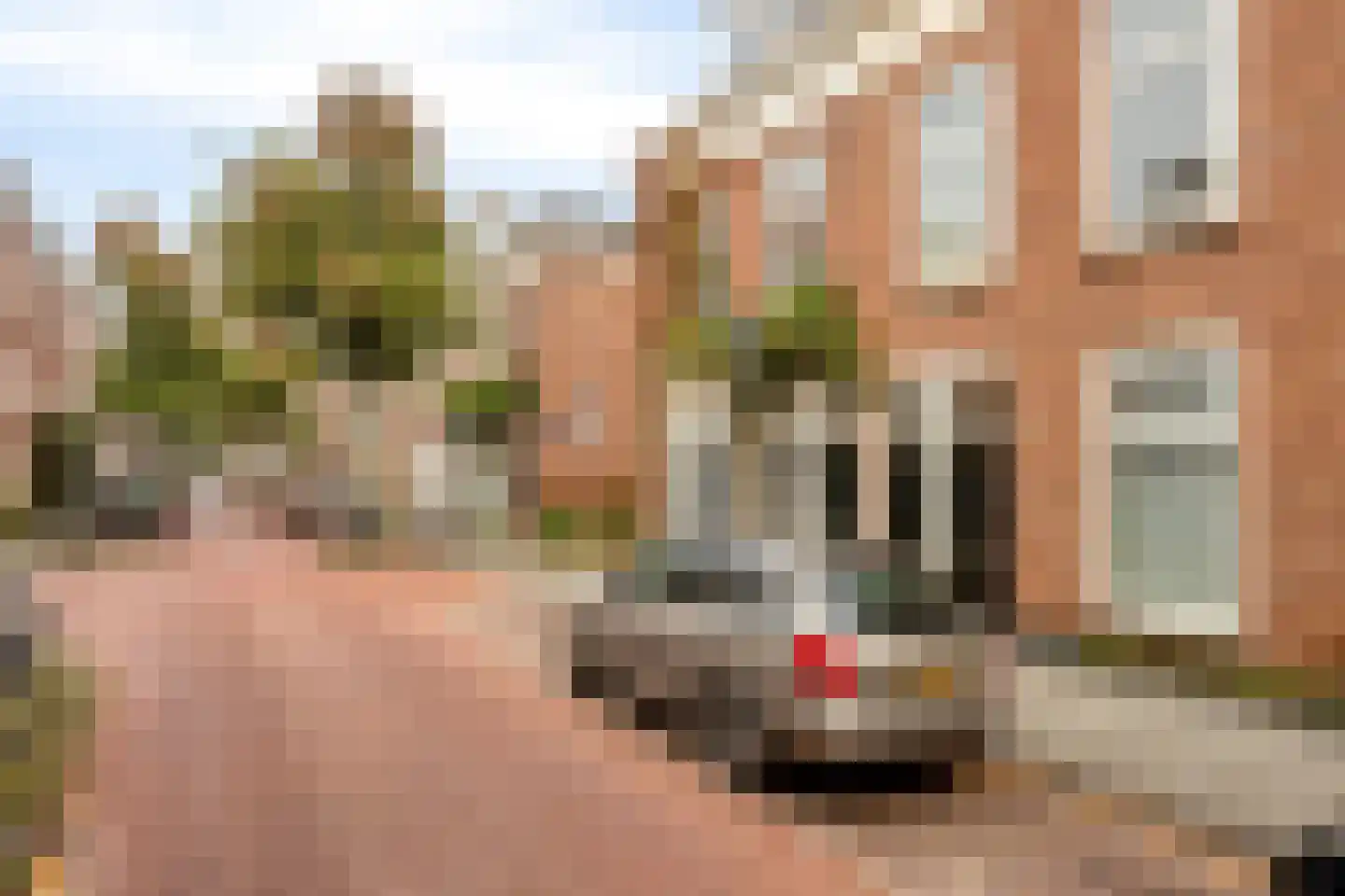 Newtonstraat 207 Den Haag thumbnail 4