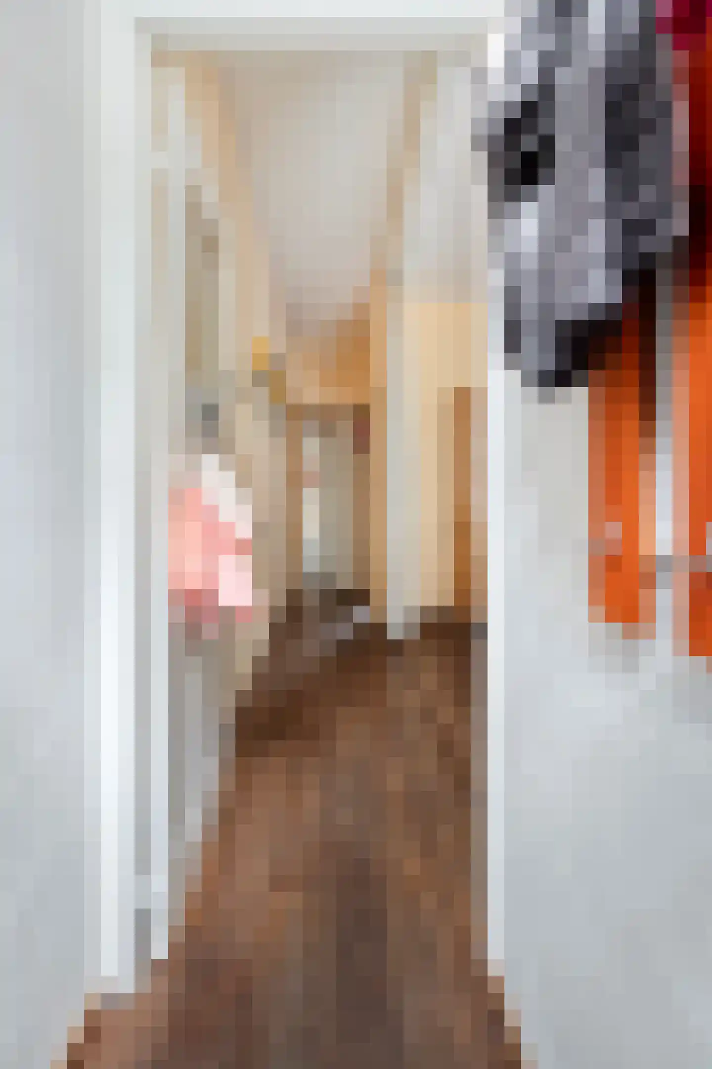 Newtonstraat 207 Den Haag thumbnail 5