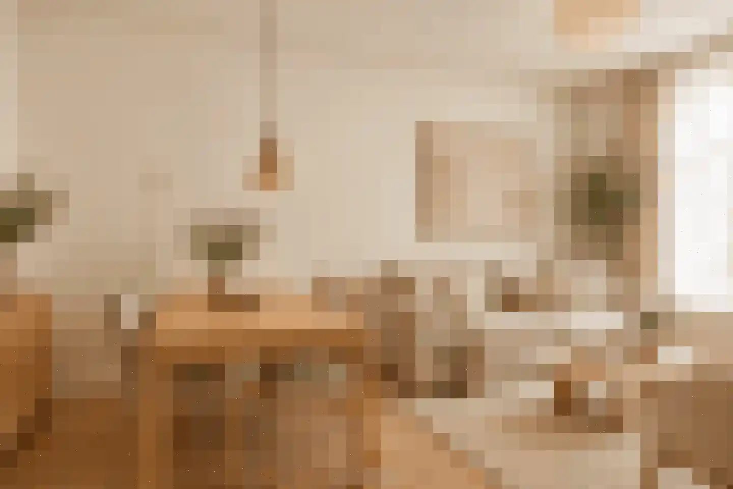 Newtonstraat 207 Den Haag thumbnail 9