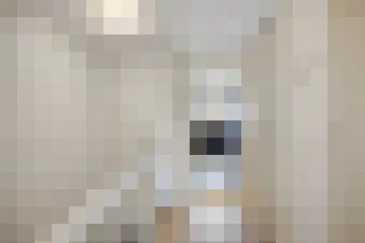Newtonstraat 209 Den Haag thumbnail 16