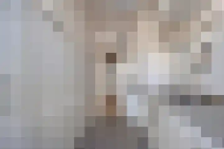 Newtonstraat 209 Den Haag thumbnail 6