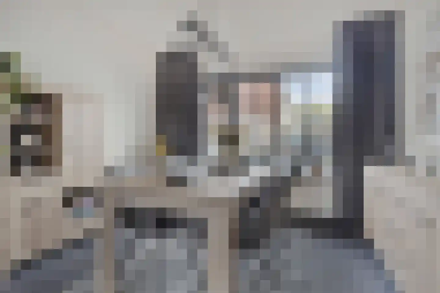 Newtonstraat 21 Terneuzen thumbnail 10