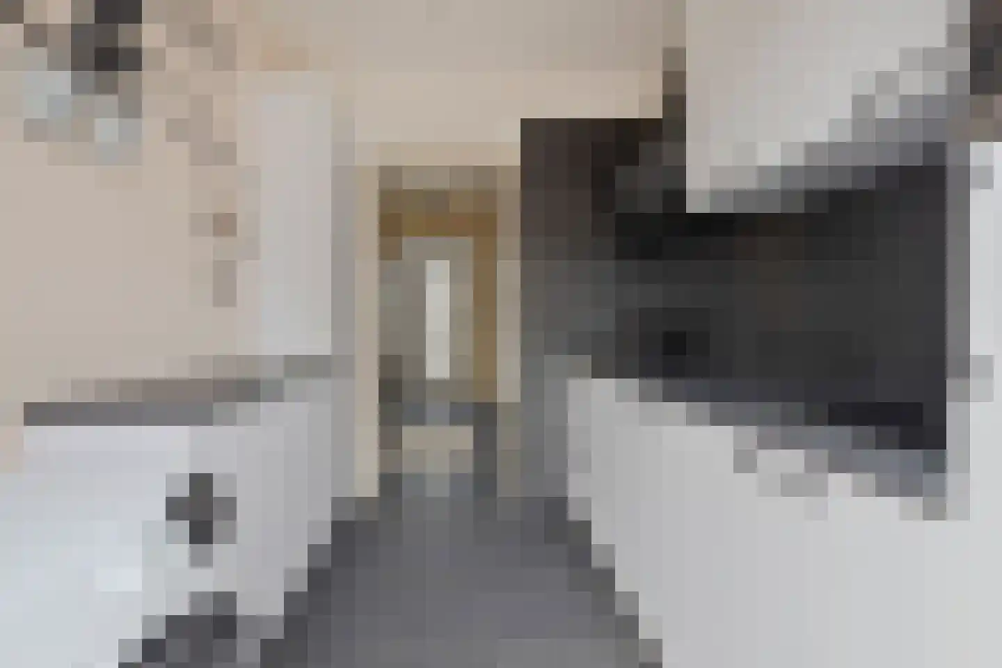 Newtonstraat 21 Terneuzen thumbnail 12
