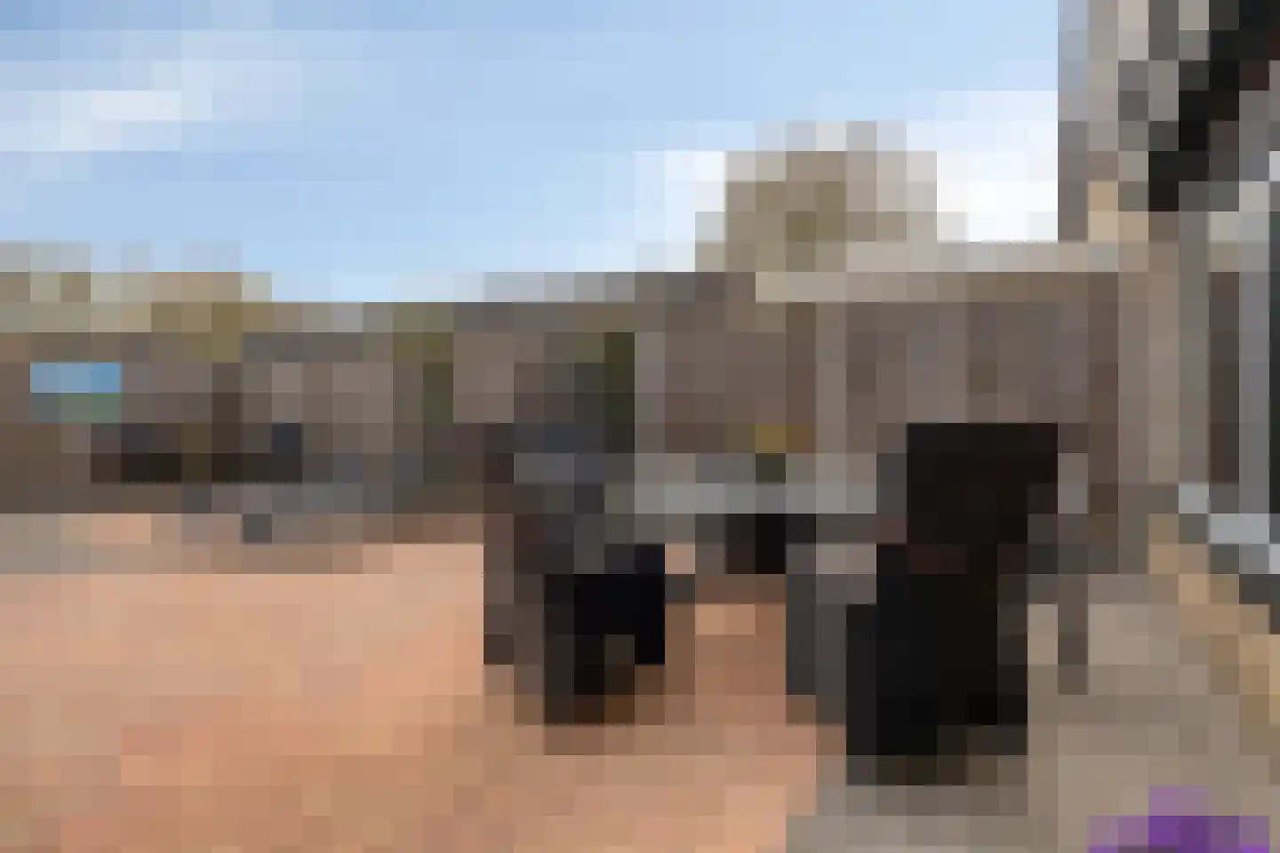 Newtonstraat 21 Terneuzen thumbnail 25