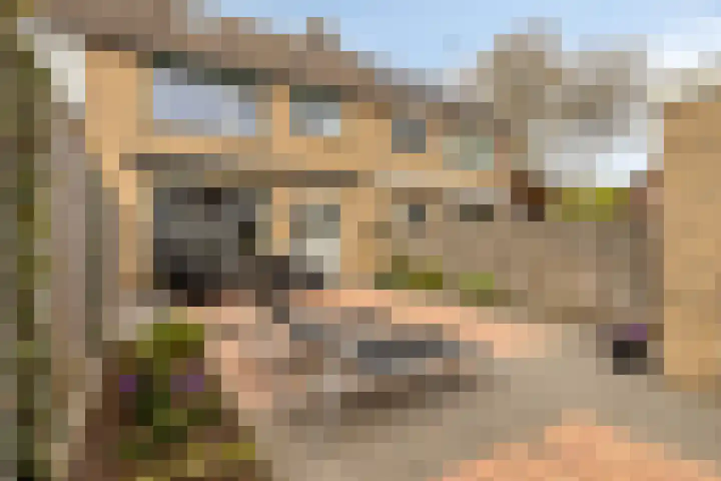 Newtonstraat 21 Terneuzen thumbnail 28