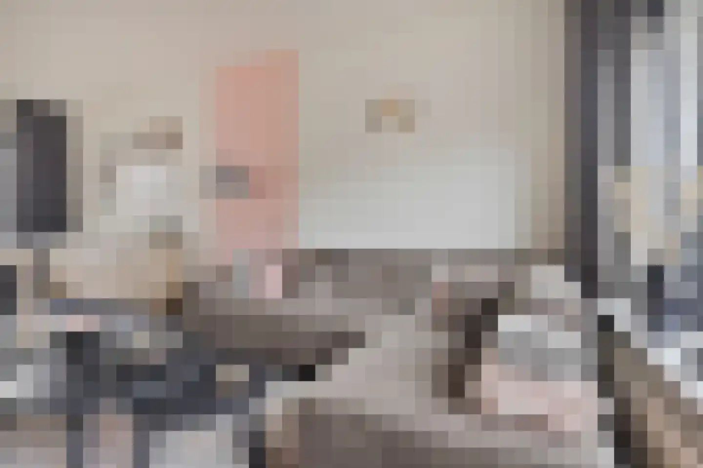 Newtonstraat 21 Terneuzen thumbnail 7