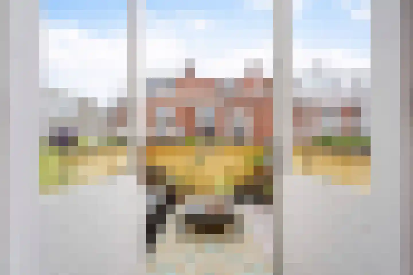 Newtonstraat 219 Den Haag thumbnail 24