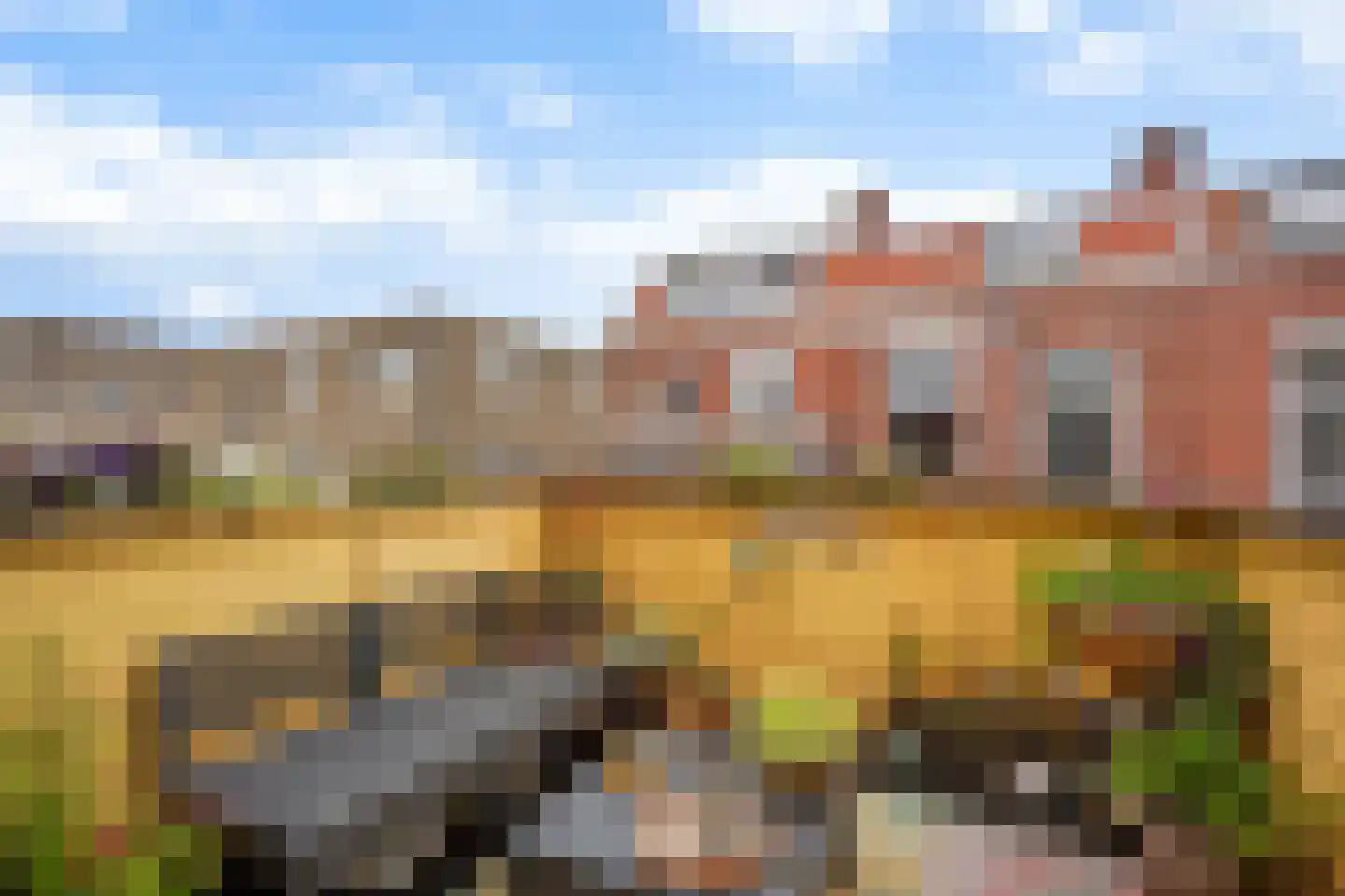 Newtonstraat 219 Den Haag thumbnail 5