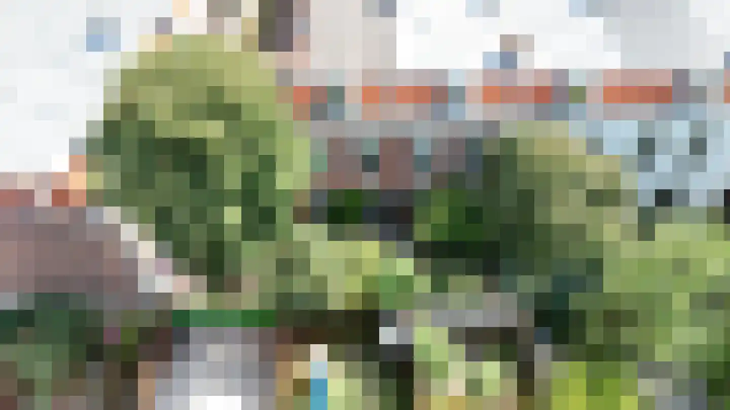 Newtonstraat 219 Den Haag thumbnail 7