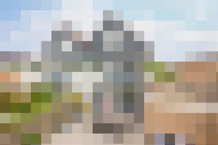 Newtonstraat 22 Badhoevedorp thumbnail 31