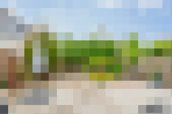 Newtonstraat 22 Badhoevedorp thumbnail 33