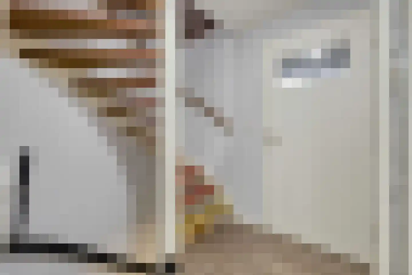 Newtonstraat 23 Terneuzen thumbnail 13