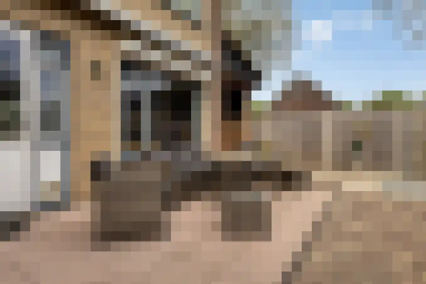 Newtonstraat 23 Terneuzen thumbnail 24