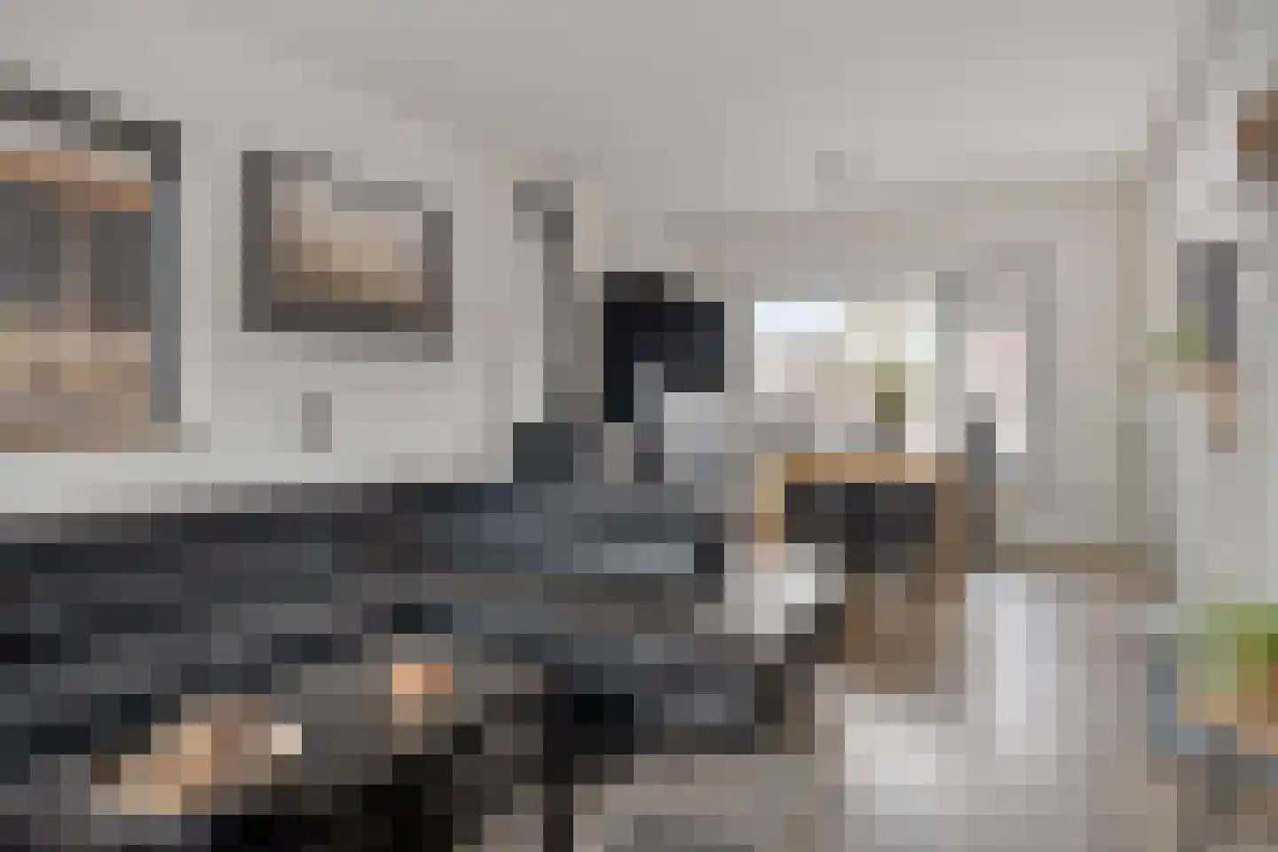 Newtonstraat 23 Terneuzen thumbnail 6