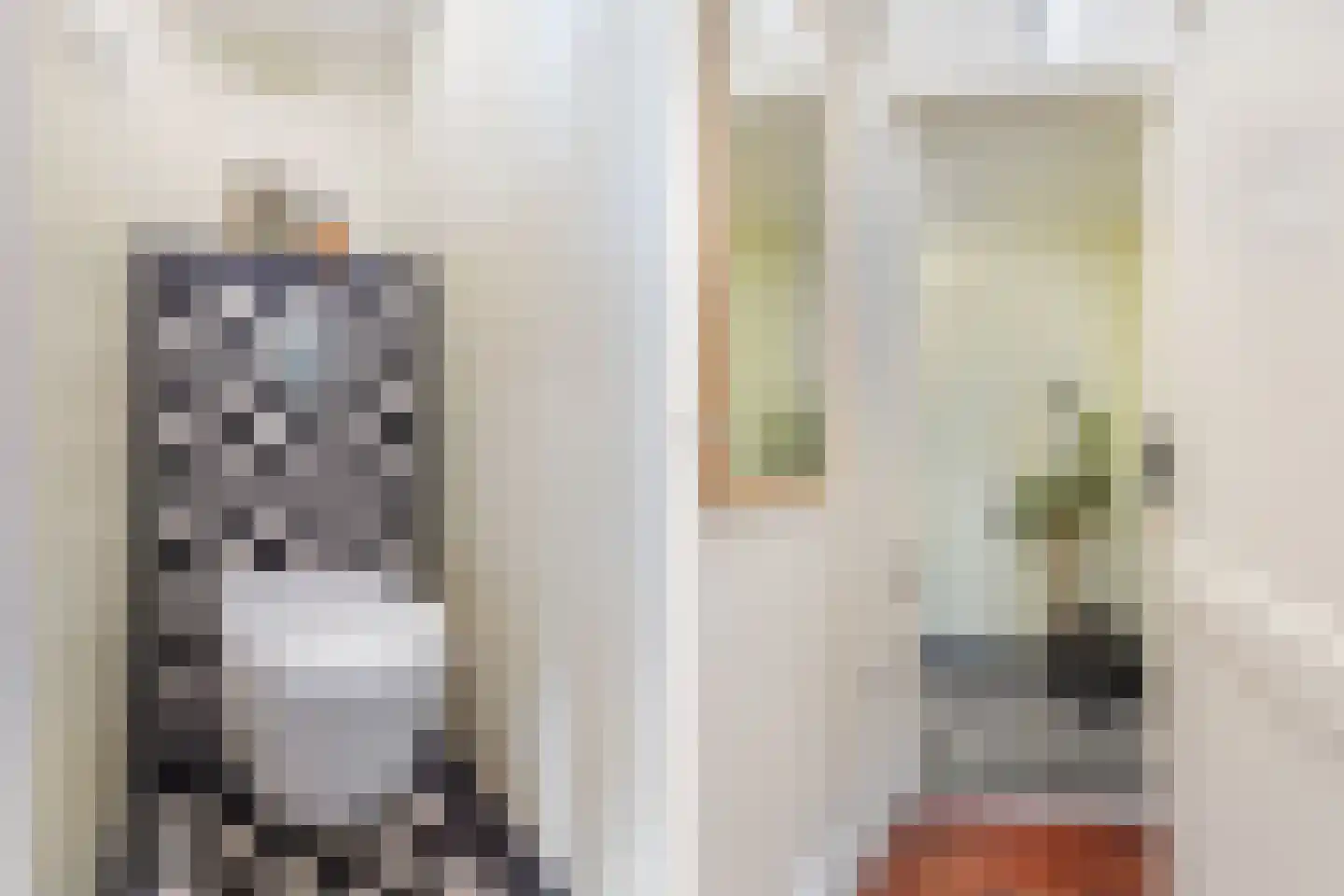 Newtonstraat 276 Den Haag thumbnail 12