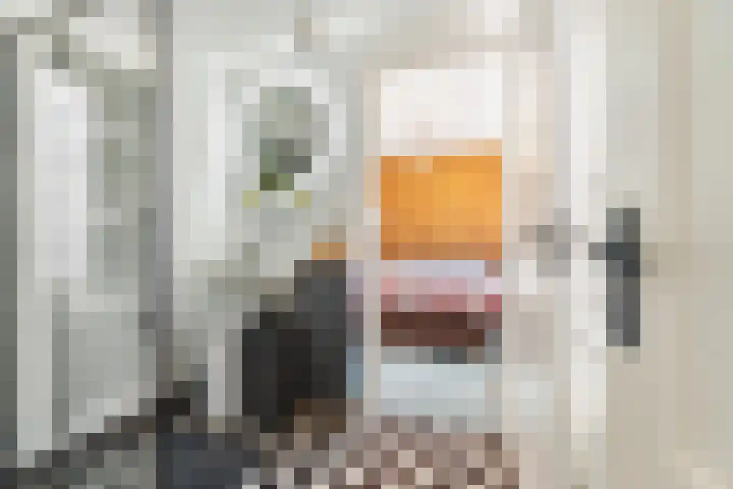 Newtonstraat 276 Den Haag thumbnail 15