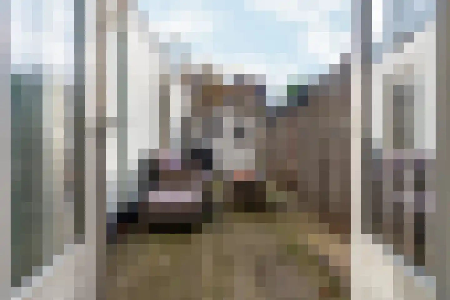 Newtonstraat 276 Den Haag thumbnail 18
