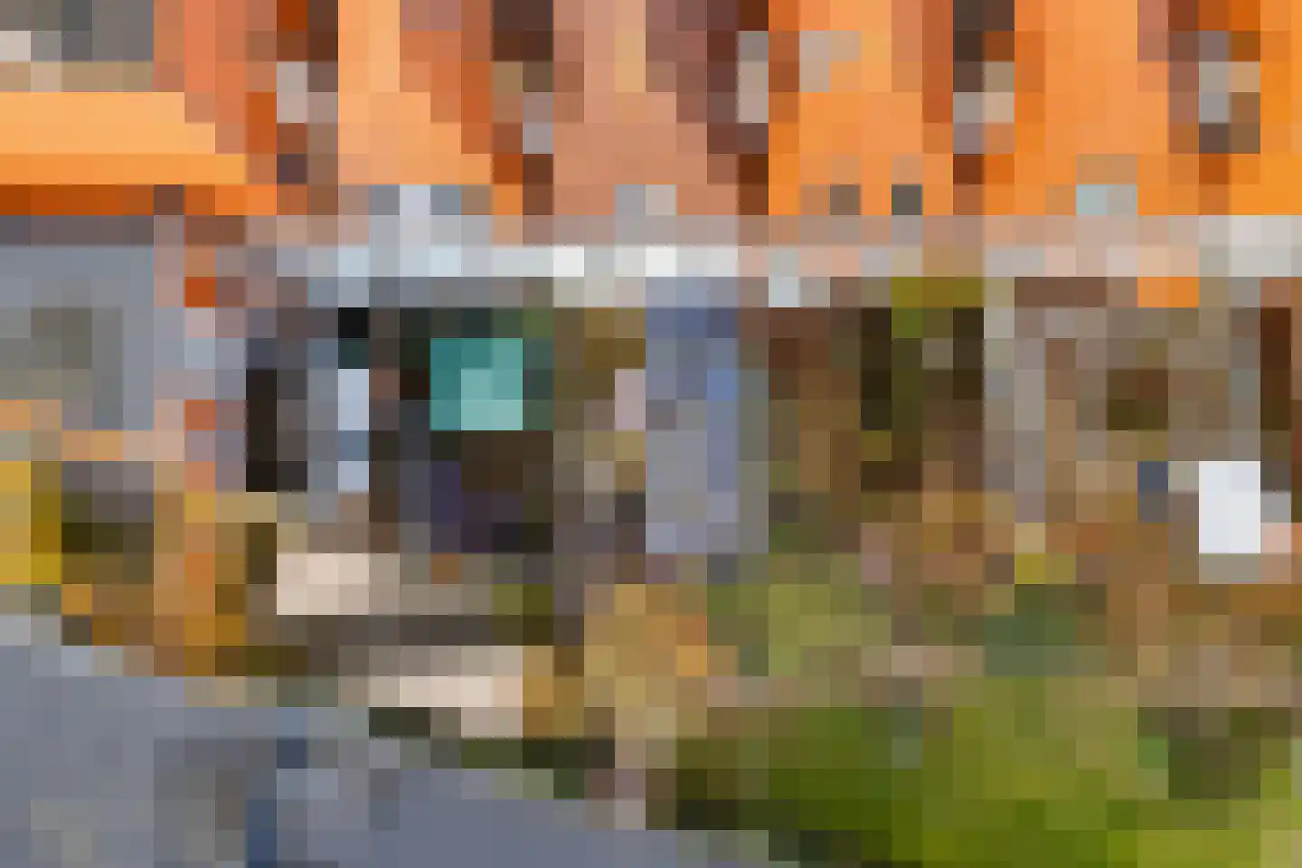 Newtonstraat 276 Den Haag thumbnail 20