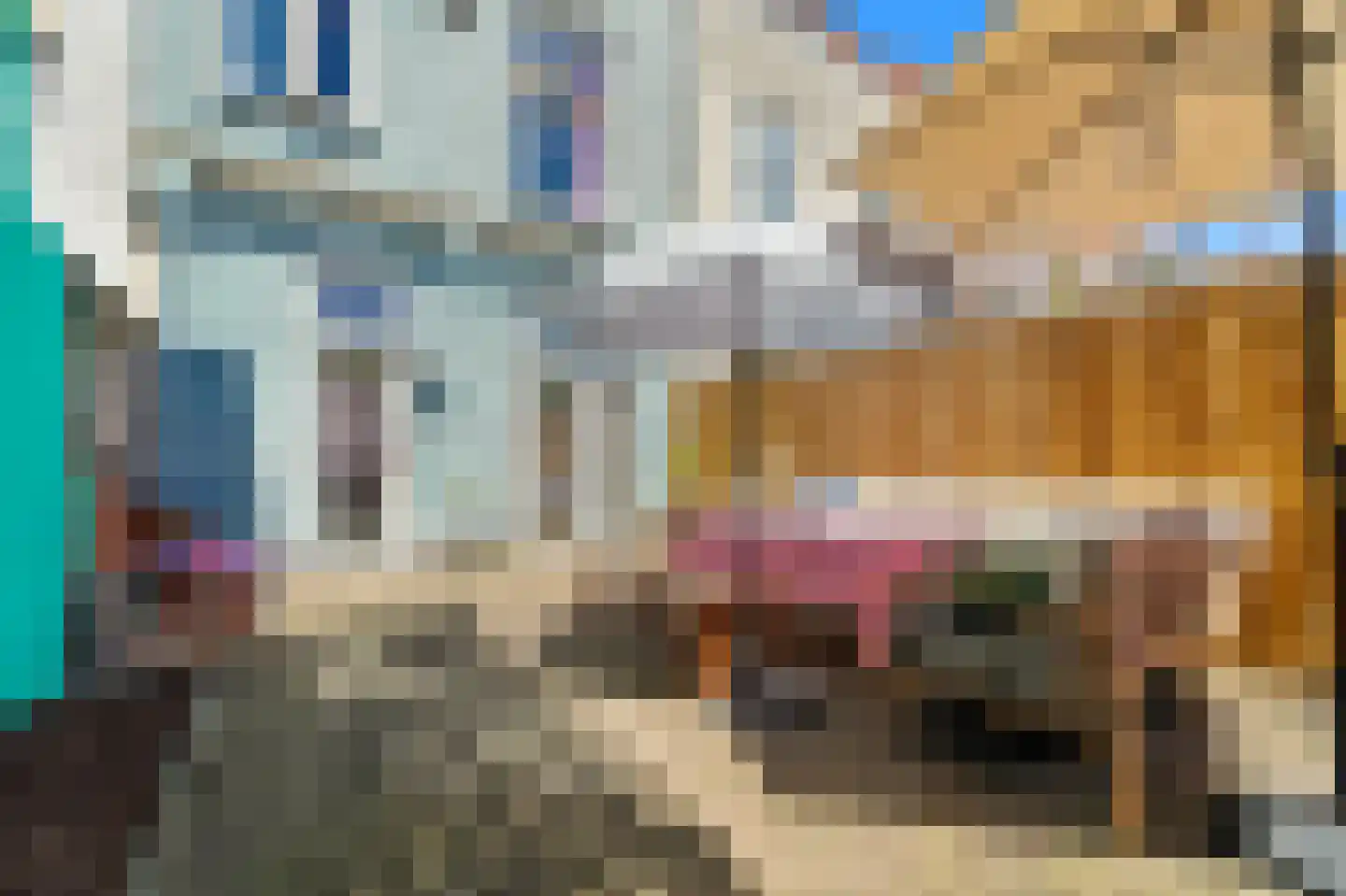 Newtonstraat 280 Den Haag thumbnail 5