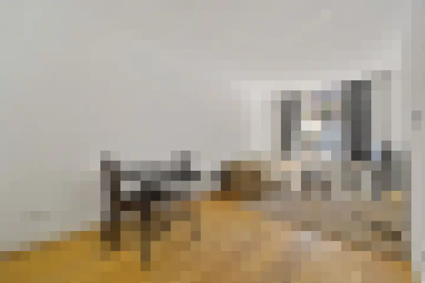 Newtonstraat 291 Den Haag thumbnail 6