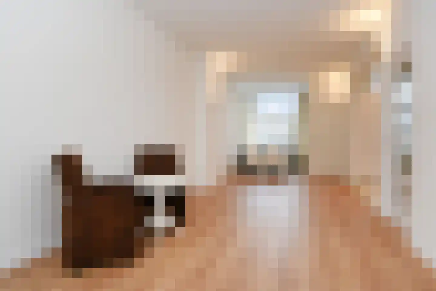 Newtonstraat 327 Den Haag thumbnail 12