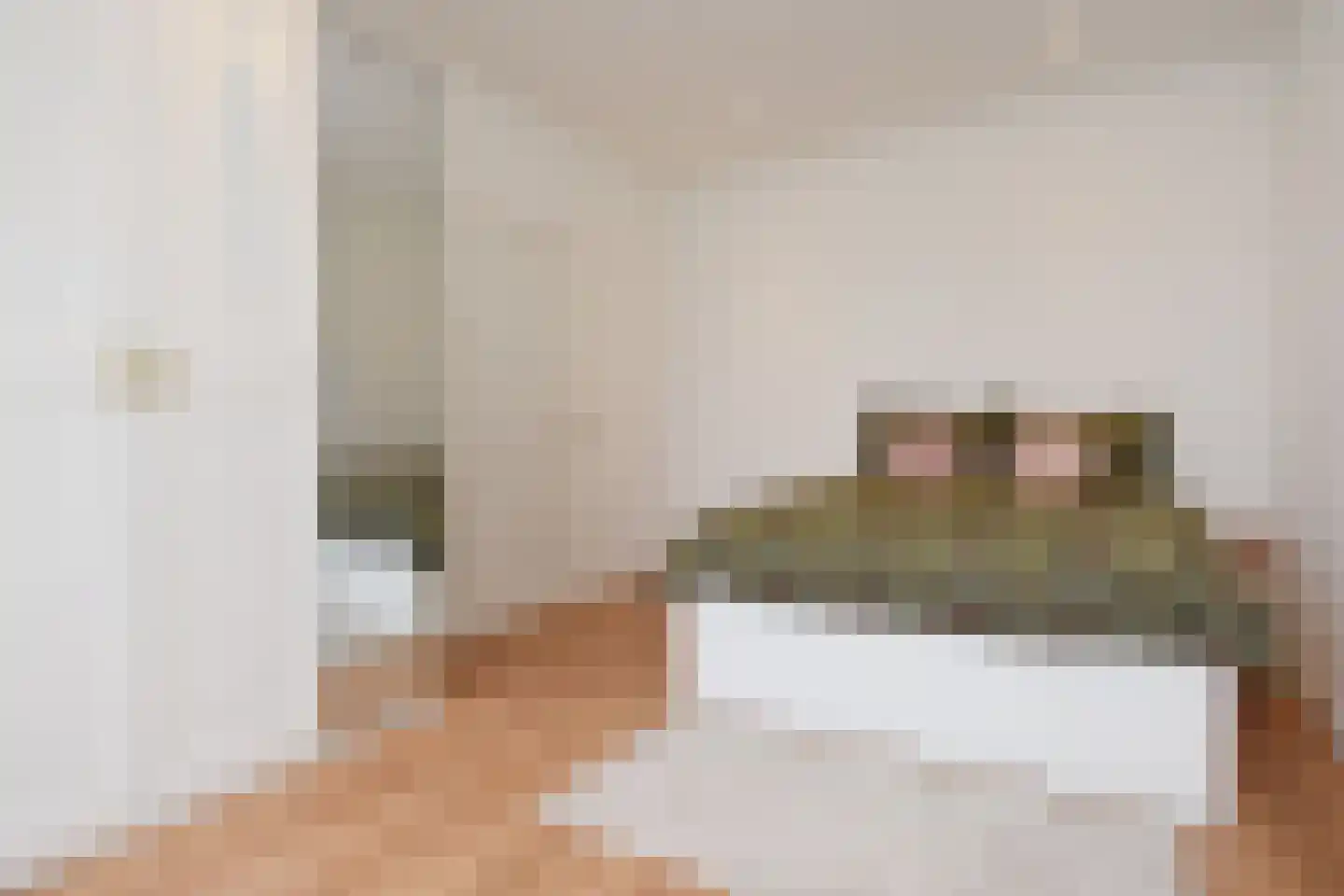 Newtonstraat 327 Den Haag thumbnail 31