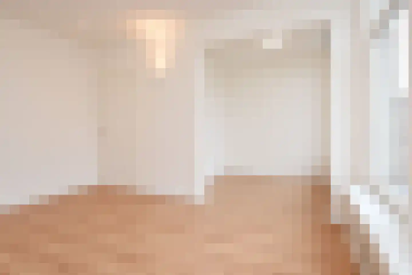 Newtonstraat 327 Den Haag thumbnail 41