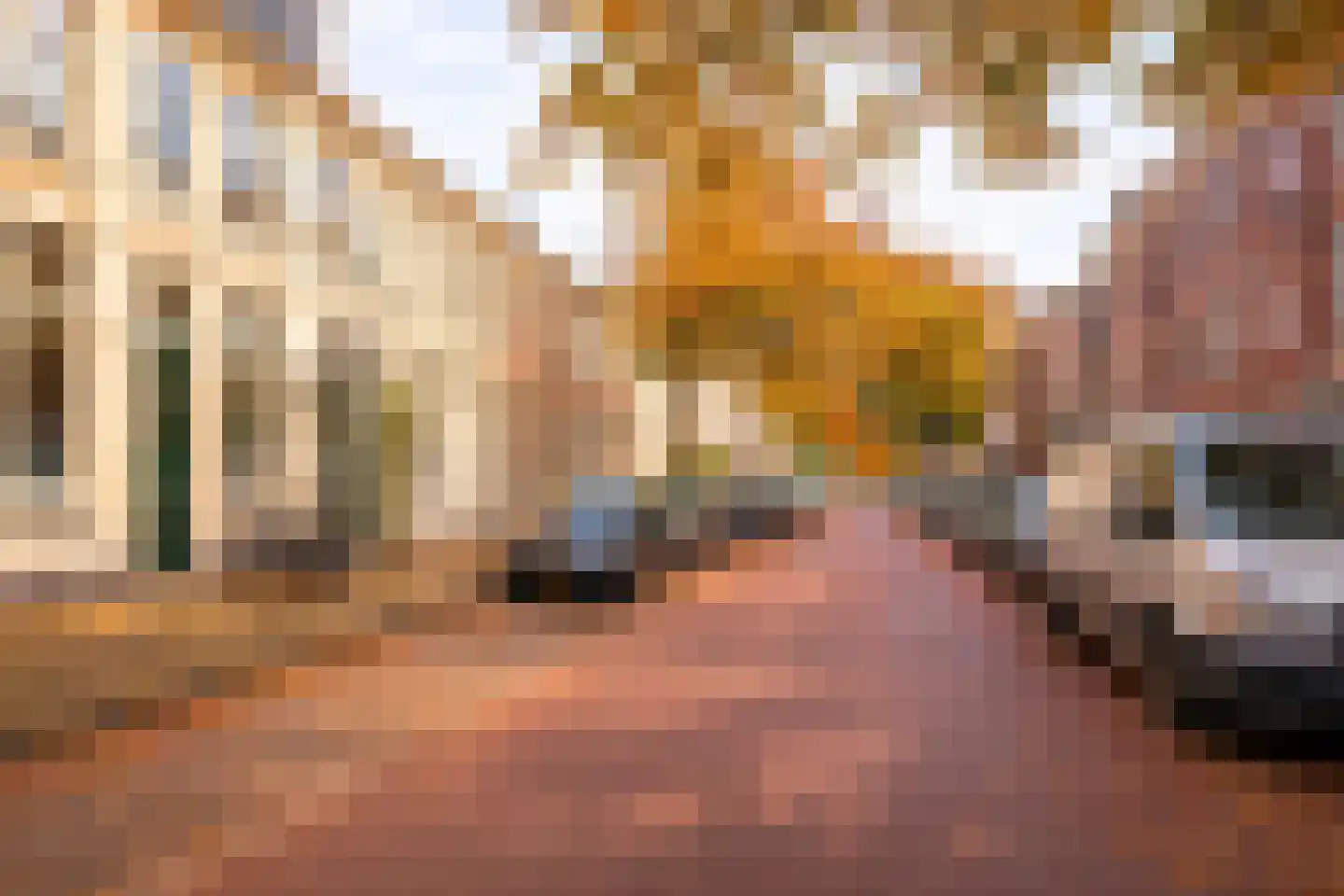 Newtonstraat 327 Den Haag thumbnail 45