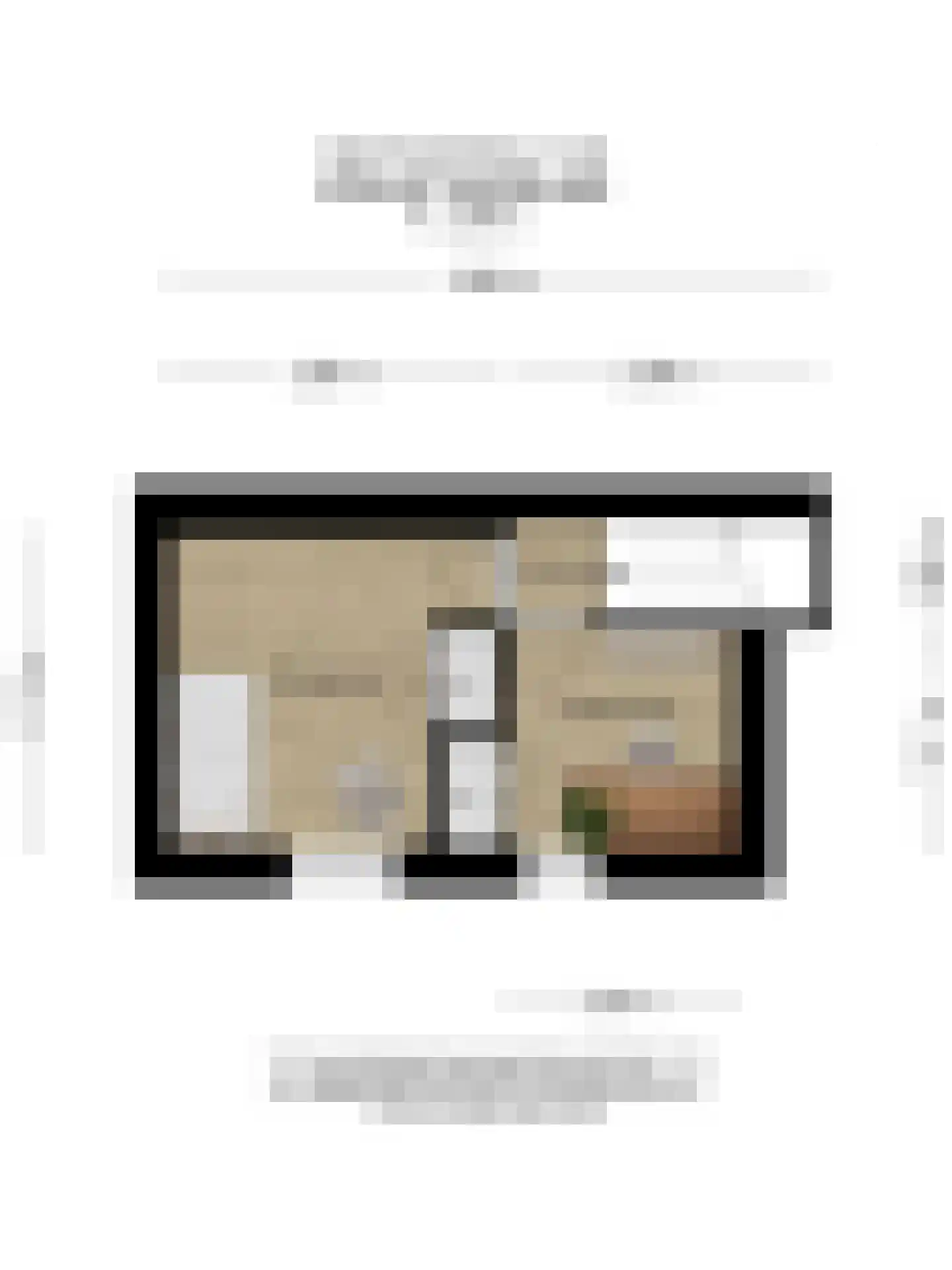 Newtonstraat 329 Den Haag thumbnail 34