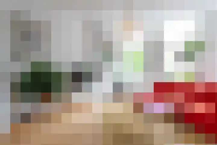 Newtonstraat 341 Den Haag thumbnail 6