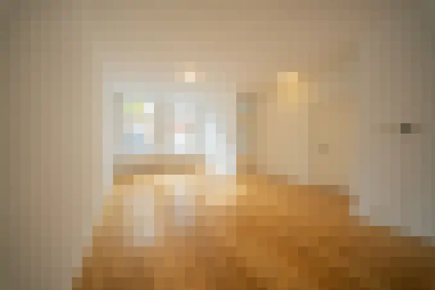 Newtonstraat 361 Den Haag thumbnail 10
