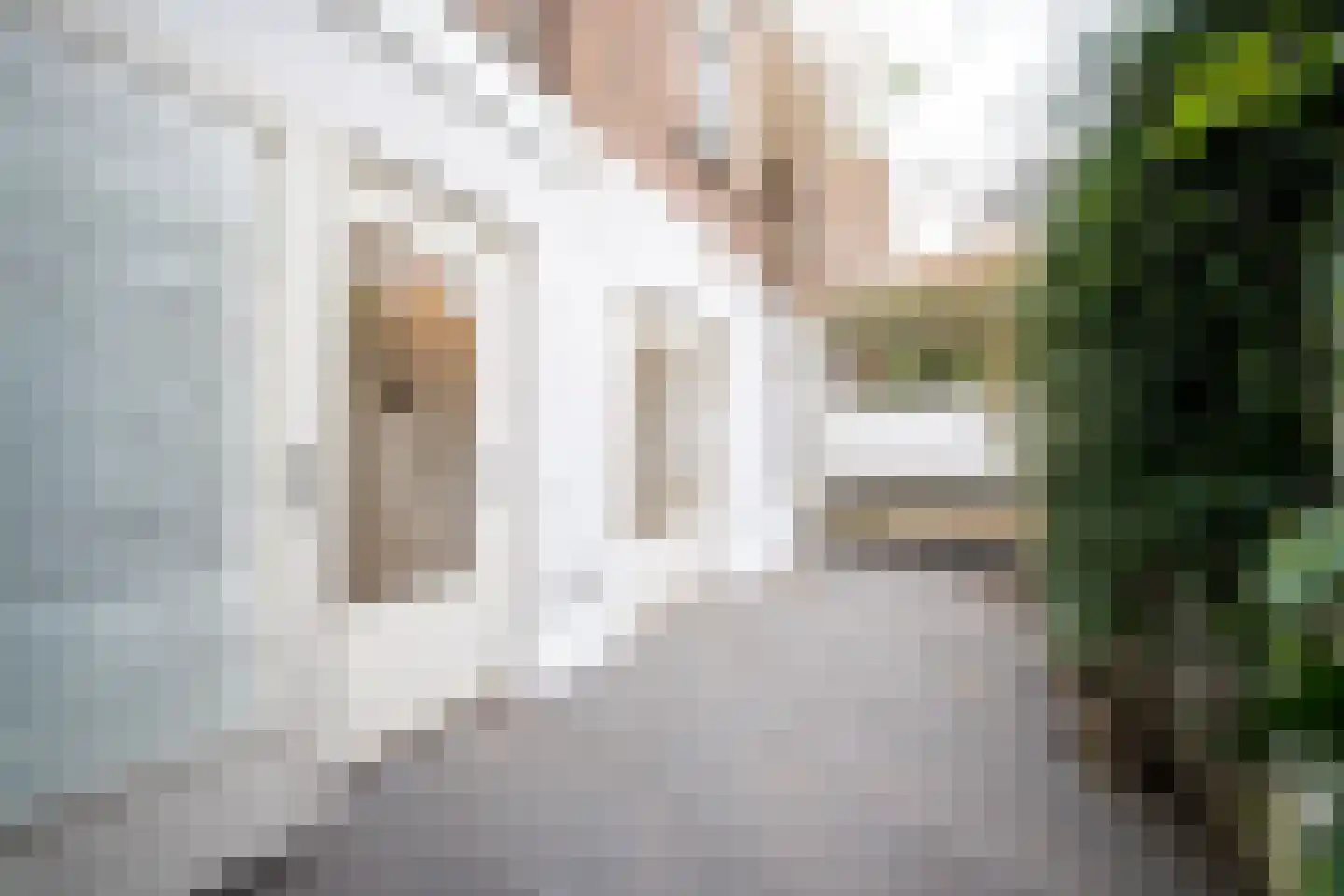 Newtonstraat 361 Den Haag thumbnail 16