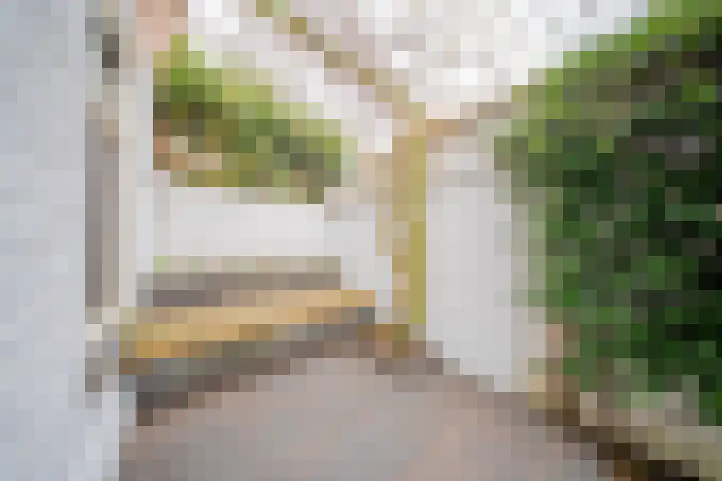Newtonstraat 361 Den Haag thumbnail 18
