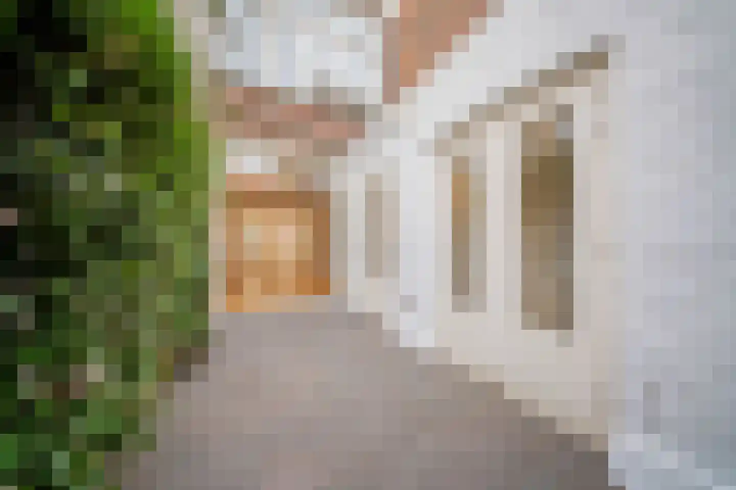 Newtonstraat 361 Den Haag thumbnail 19