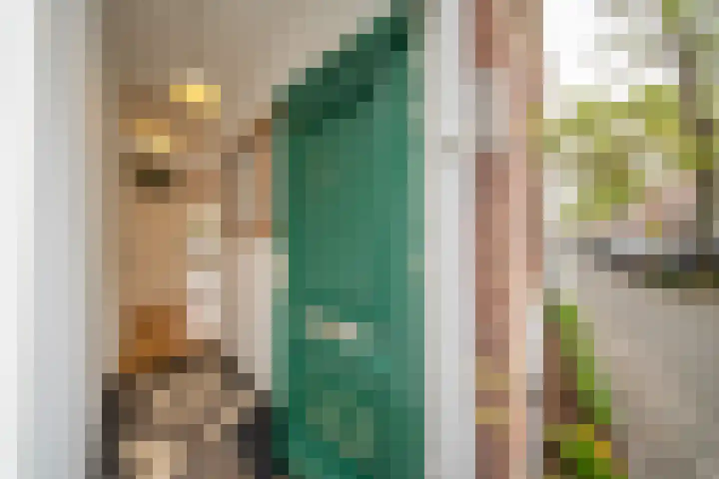 Newtonstraat 361 Den Haag thumbnail 6