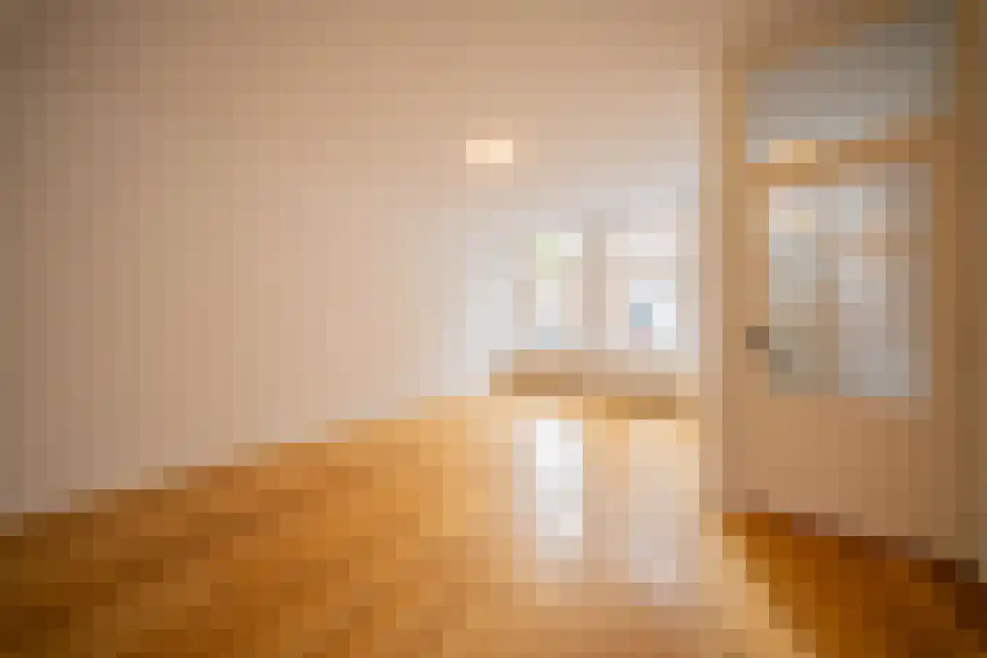 Newtonstraat 361 Den Haag thumbnail 7