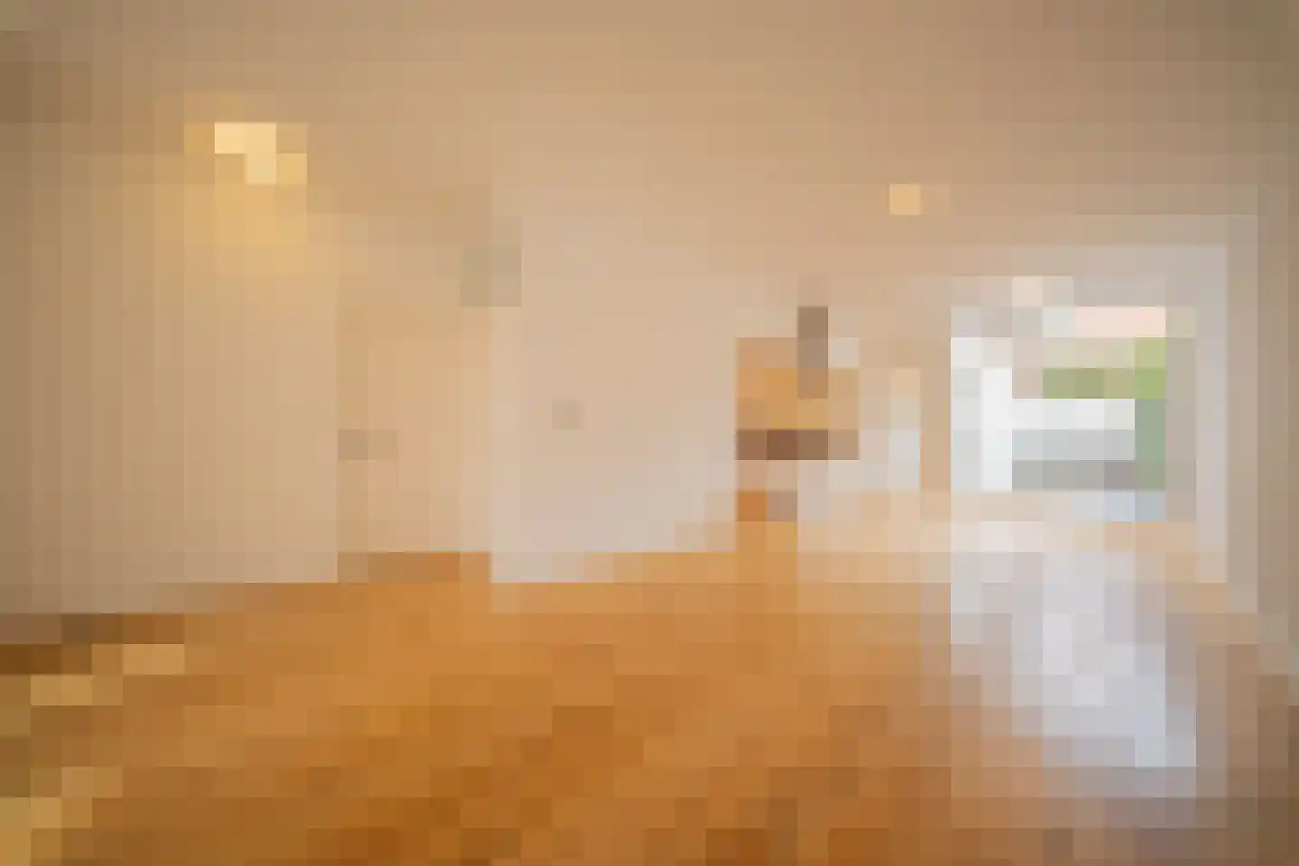 Newtonstraat 361 Den Haag thumbnail 9