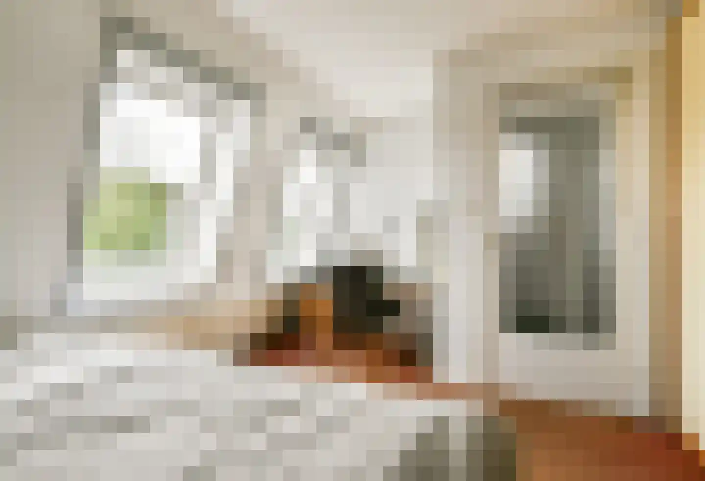 Newtonstraat 39 Badhoevedorp thumbnail 28