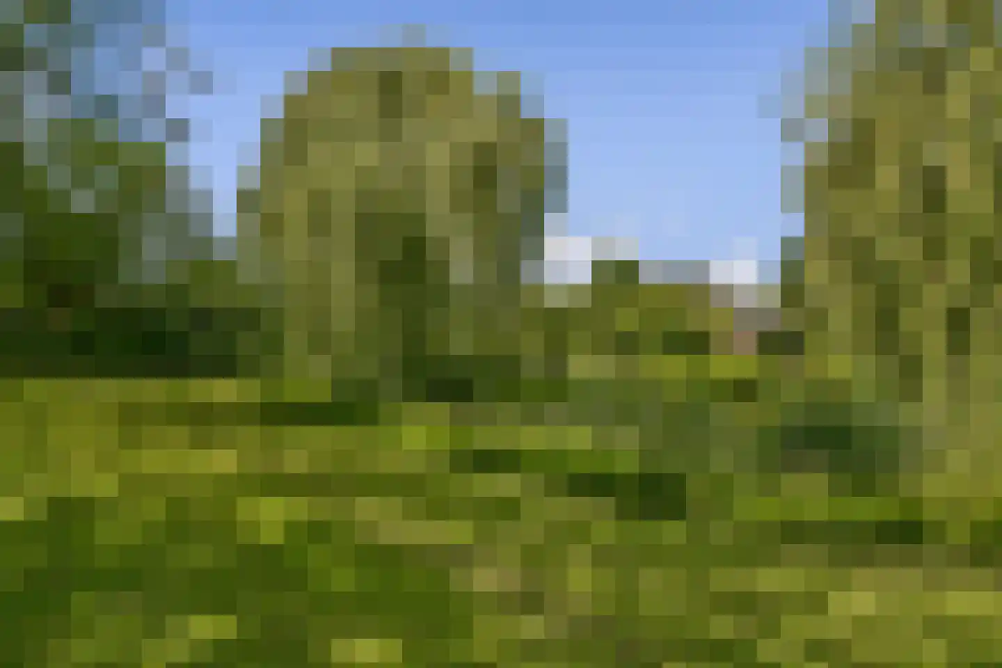 Newtonstraat 39 Badhoevedorp thumbnail 38