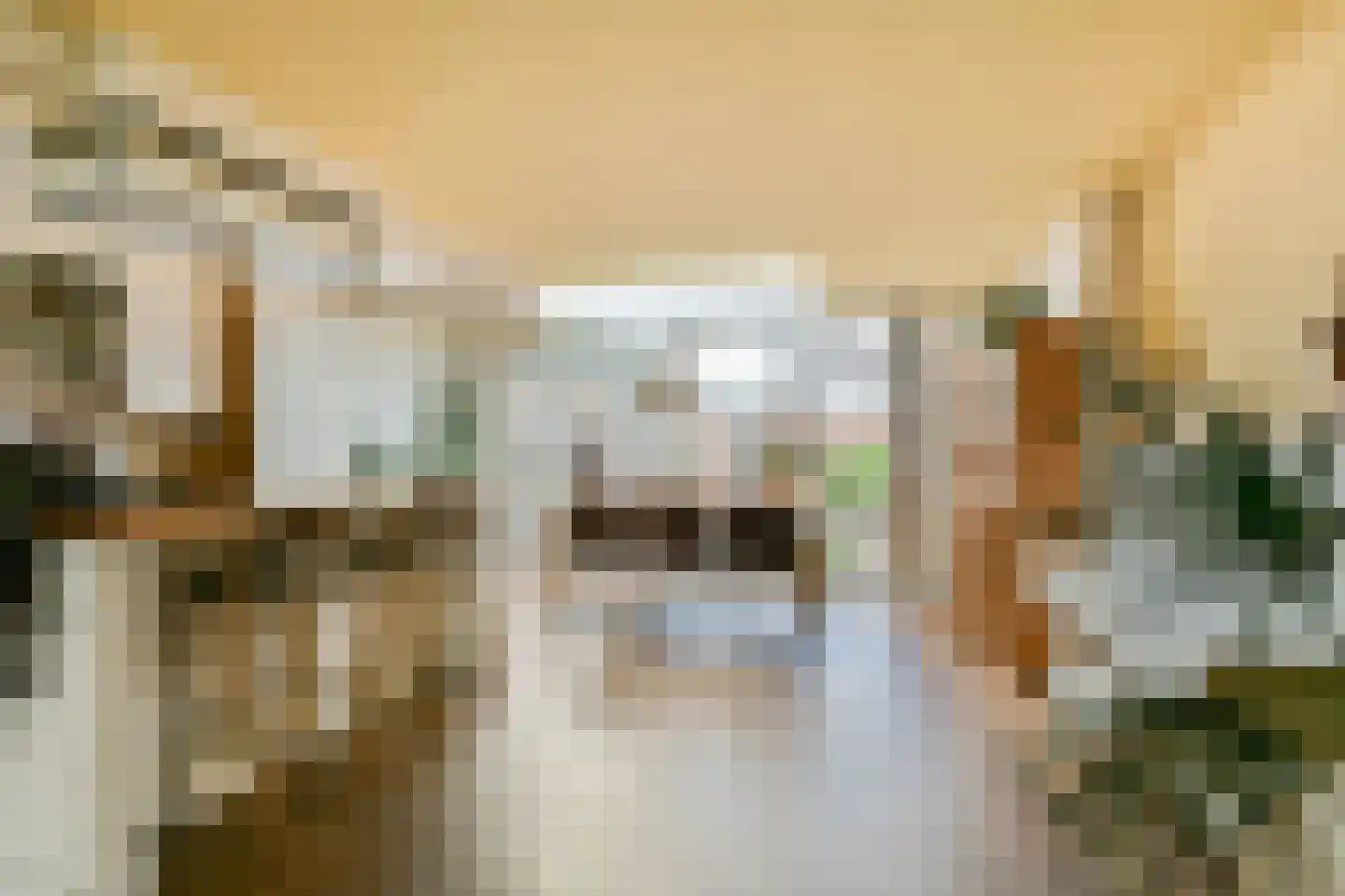 Newtonstraat 39 Badhoevedorp thumbnail 9