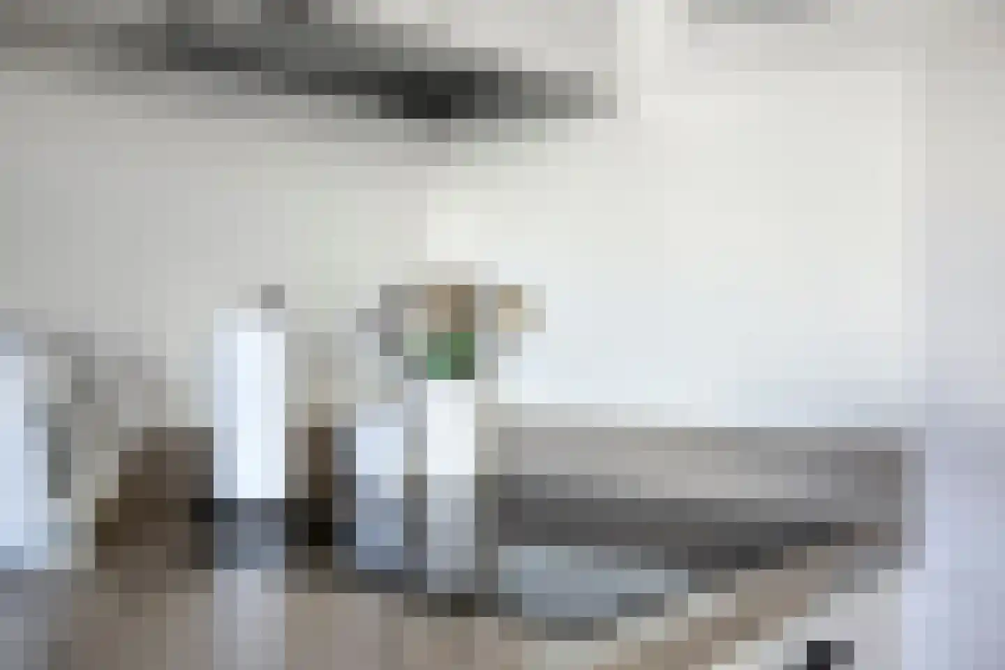 Newtonstraat 39 Terneuzen thumbnail 10