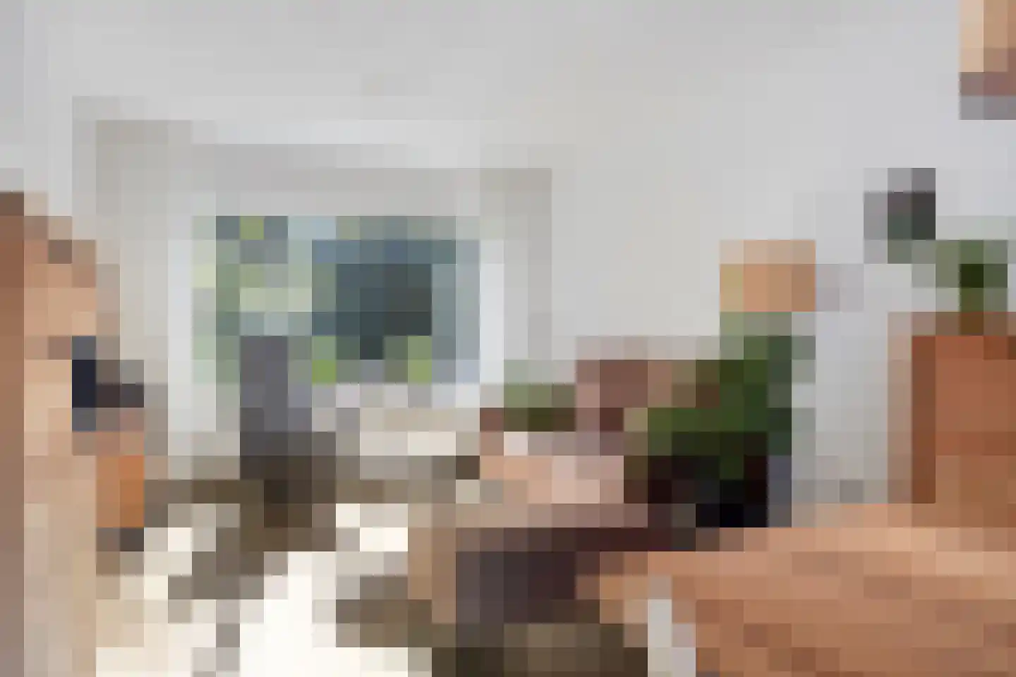 Newtonstraat 39 Terneuzen thumbnail 8
