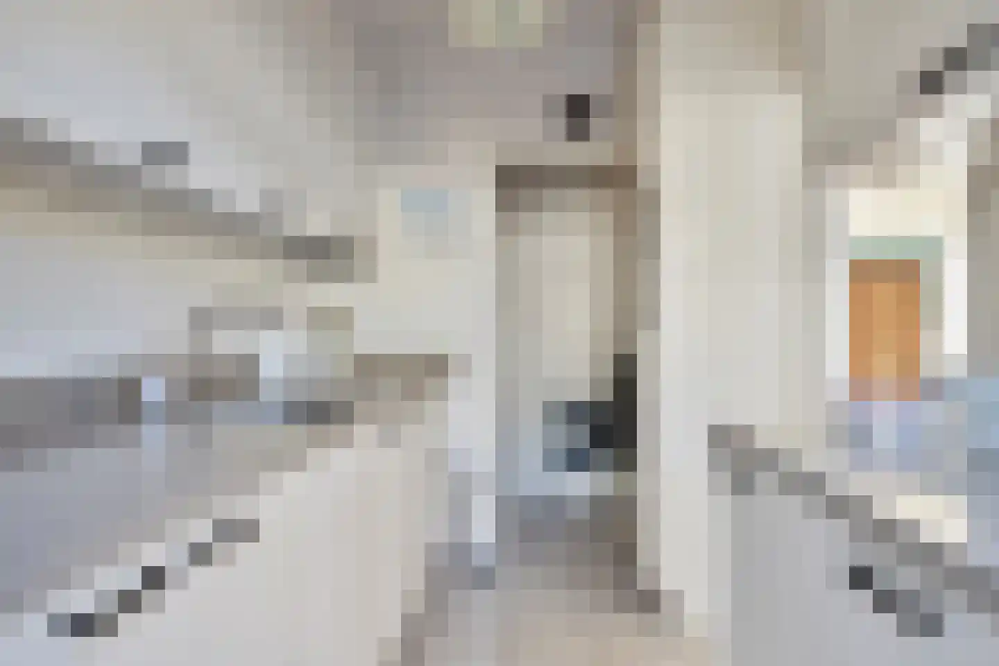 Newtonstraat 39 Terneuzen thumbnail 9