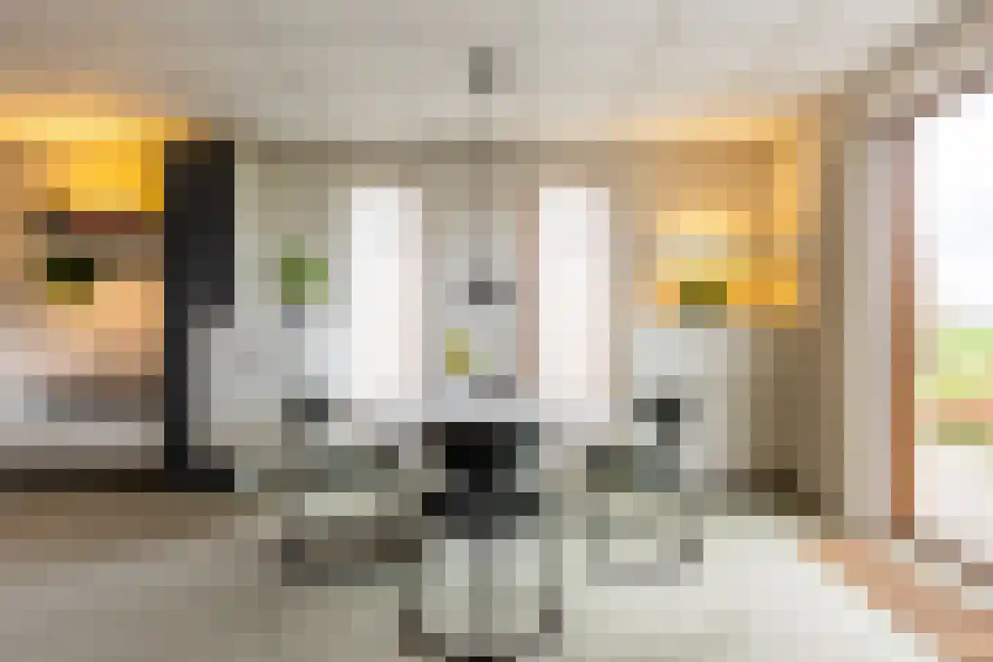 Newtonstraat 4 Schoonhoven thumbnail 10