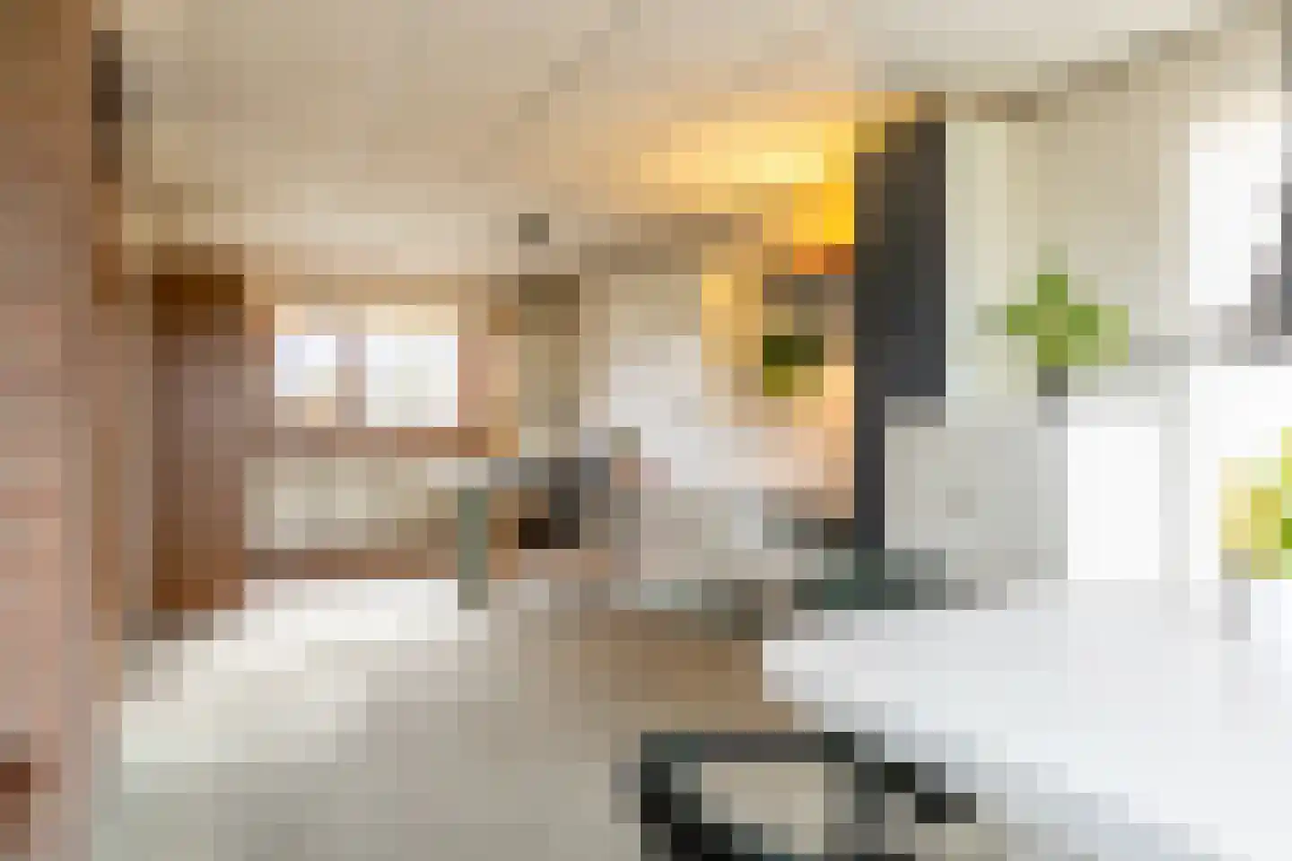 Newtonstraat 4 Schoonhoven thumbnail 11