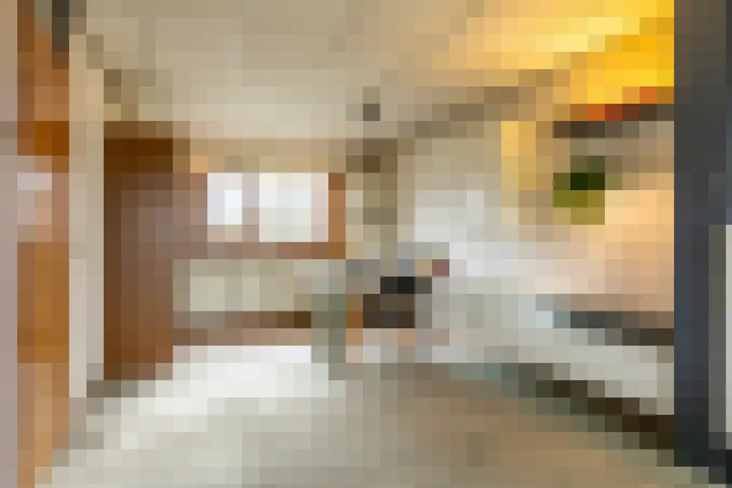 Newtonstraat 4 Schoonhoven thumbnail 12