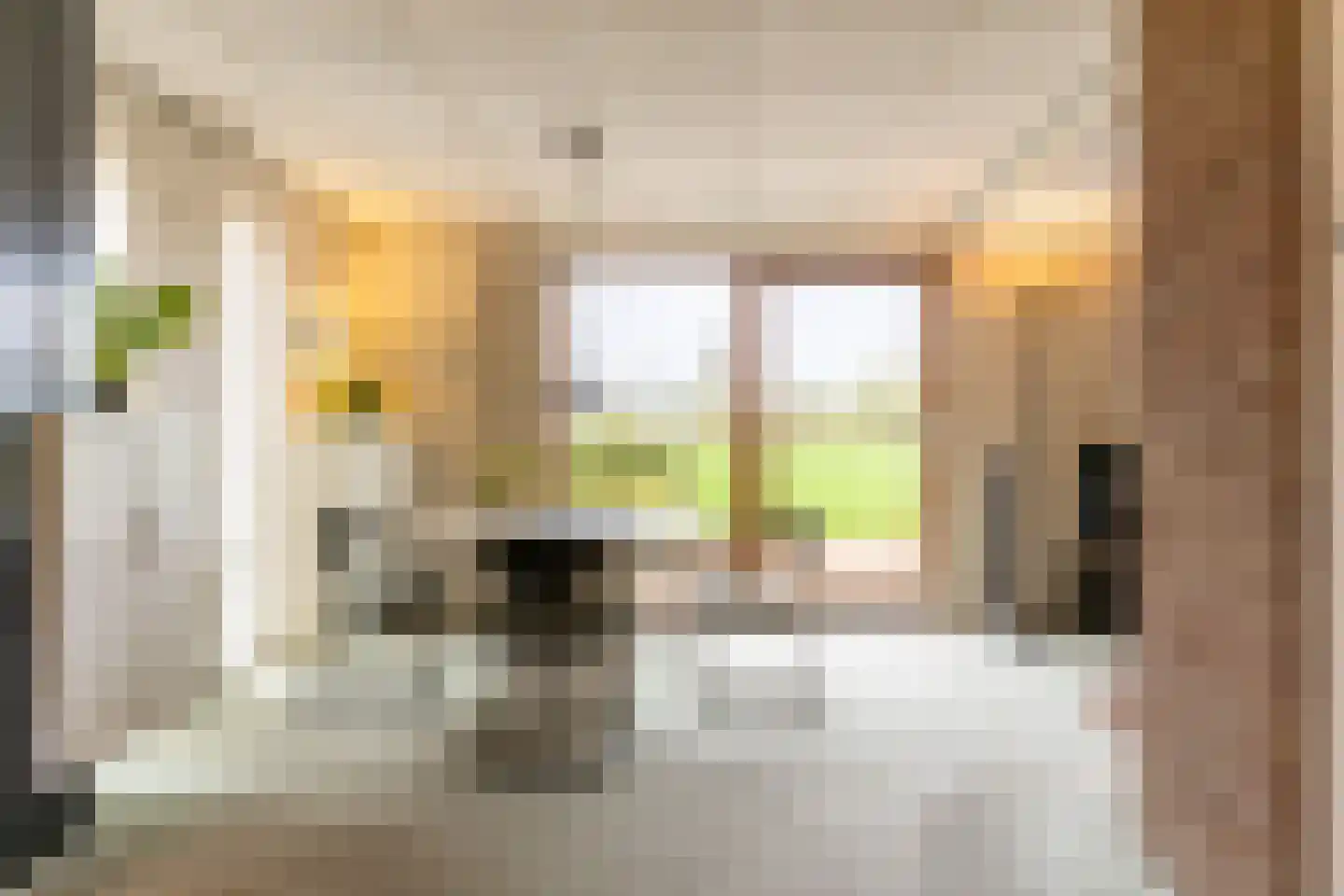 Newtonstraat 4 Schoonhoven thumbnail 18