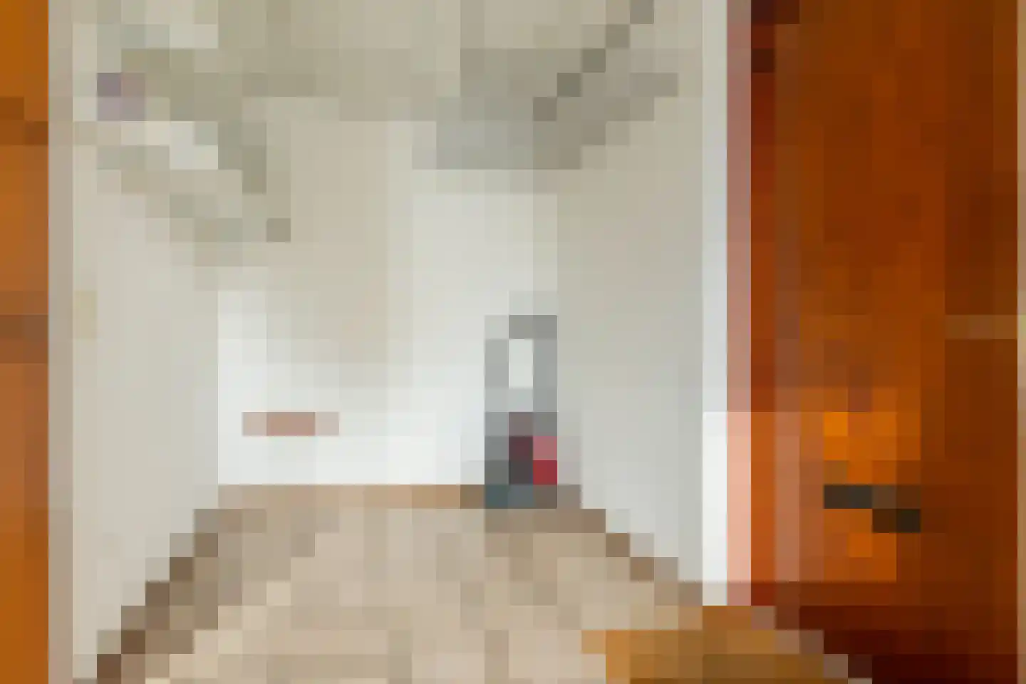 Newtonstraat 4 Schoonhoven thumbnail 21