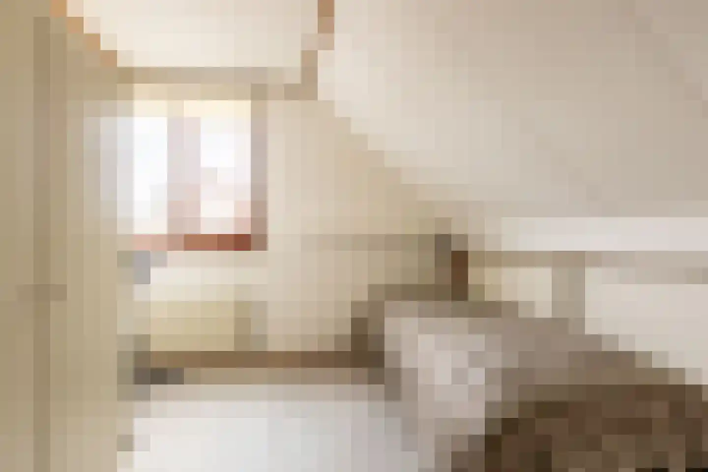 Newtonstraat 4 Schoonhoven thumbnail 25