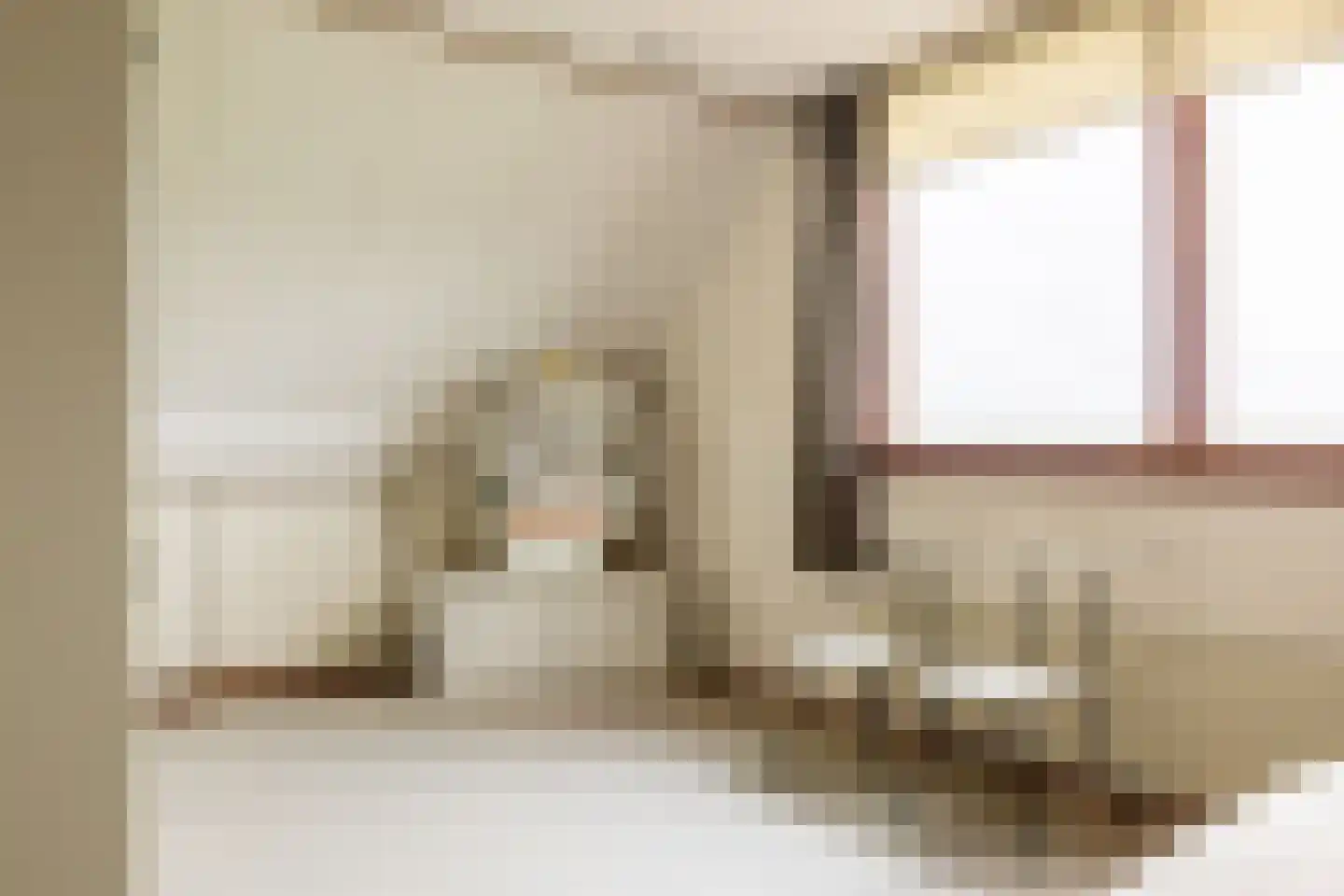 Newtonstraat 4 Schoonhoven thumbnail 31